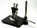 Leitz 1900 "Greenough" Stereo Microscope